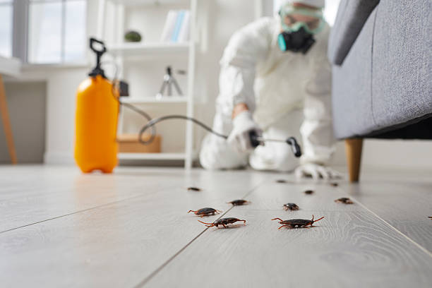 Post-Treatment Bed Bug Interceptor Monitoring in Cary